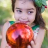 Girl's Christmas Poinsettia Dress - Image 3